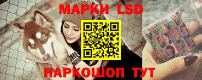 метамфетамин Гатчина