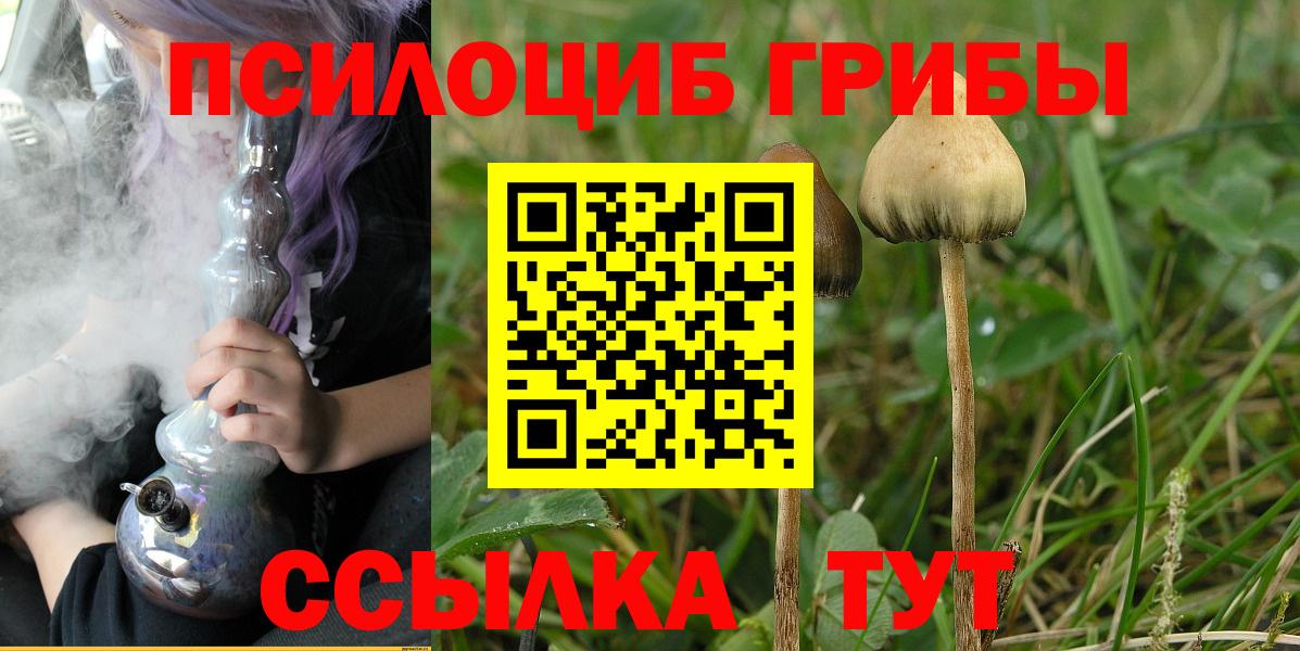 Галлюциногенные грибы Magic Shrooms Вольск