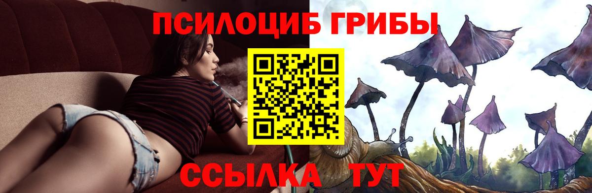 Вольск  Псилоцибиновые грибы MAGIC MUSHROOMS  Вход с VPN 